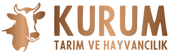 Karacabey Kurbanlık, Kurum Tarım ve Hayvancılık